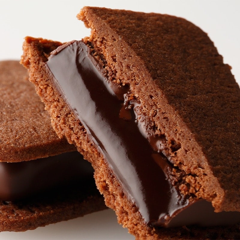 個箱5個 ショーコラ単品 マイルドカカオ VANILLABEANS公式オンライン