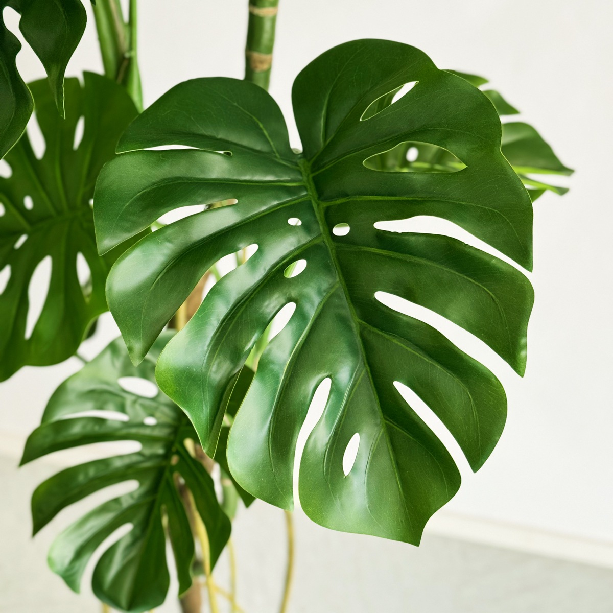 モンステラ H180cm｜フェイクグリーンならデコレラ公式通販