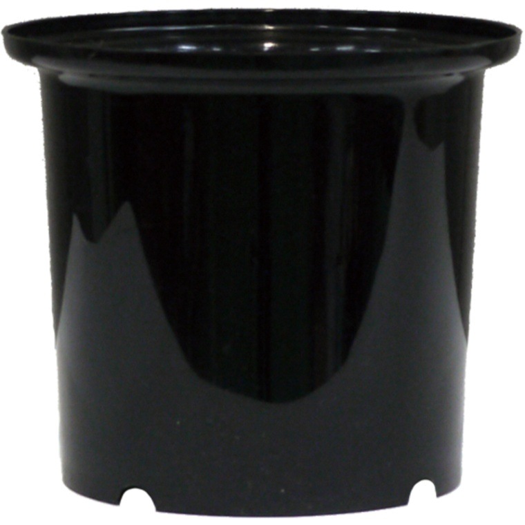 GV盛リ花用桶 ブラック | 資材・消耗品 | 花の資材通販ホワイエ