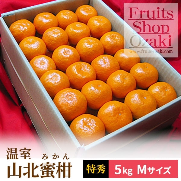 温室山北蜜柑Lサイズ2.5K | 夏 Summer fruits,温室山北蜜柑