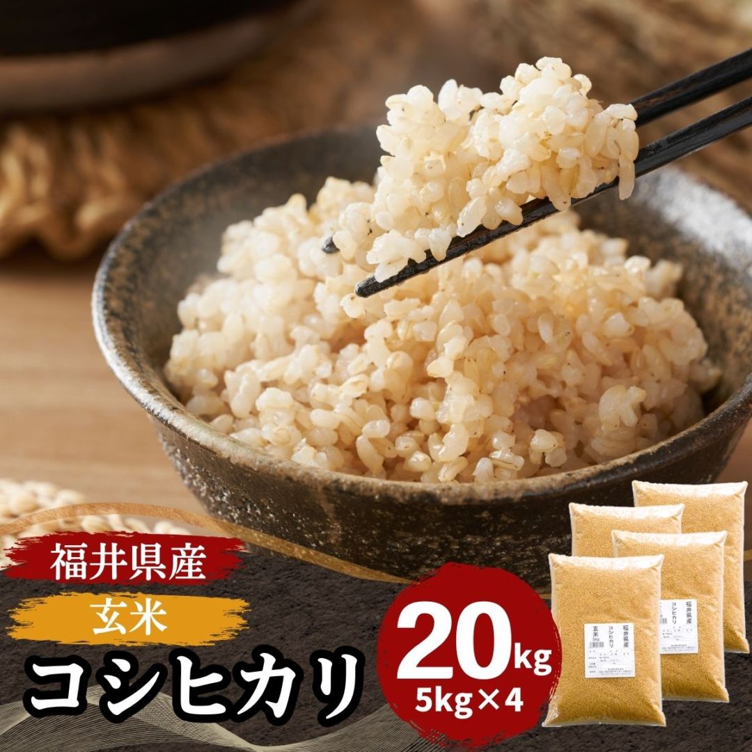 玄米 コシヒカリ 20kg(5kg×4) 福井県産 令和7年産｜玄米 |｜最短即日