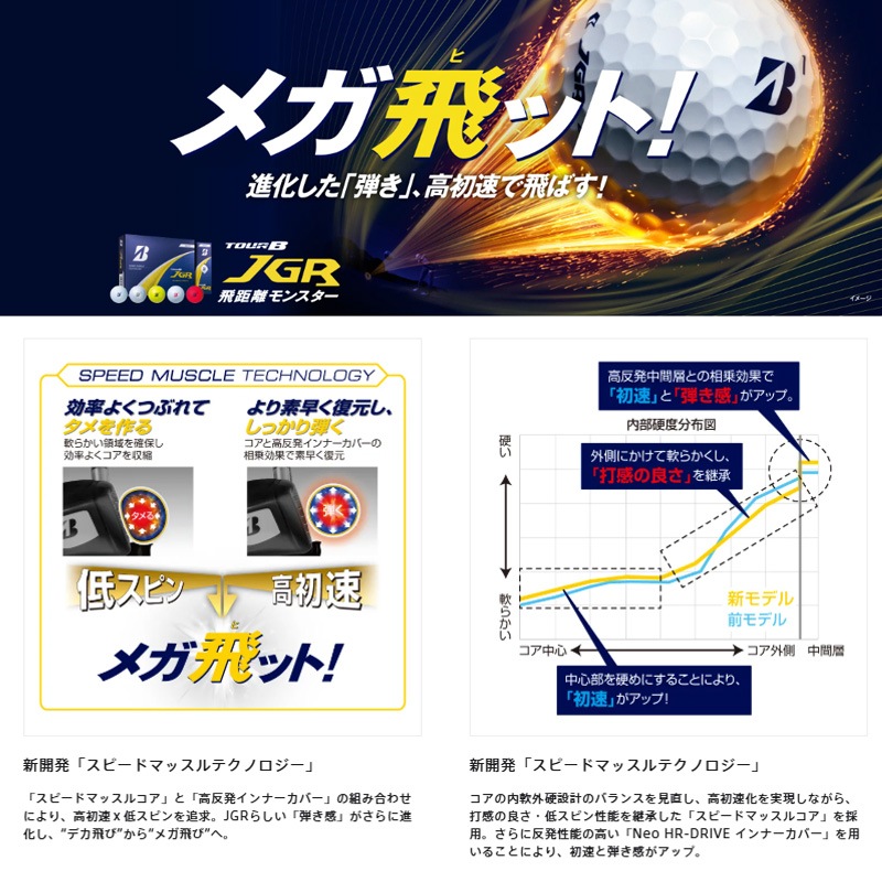 1ダース両面】2025オウンネーム ゴルフボール 名入れ対応 ブリヂストン