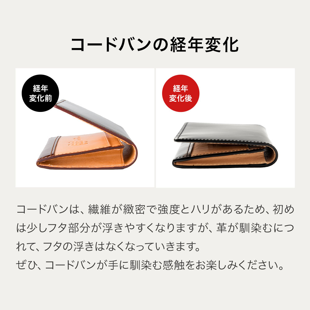 名入れ無料]☆NEWモデル☆コードバンカードケース/名刺入れ[FLYING