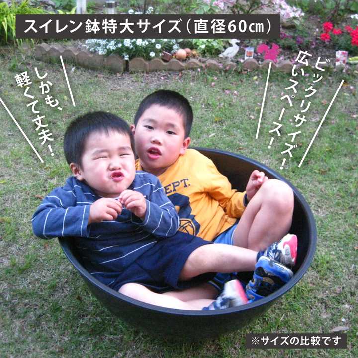 軽くて丈夫なスイレン鉢 直径60cmの特大サイズ（黒）メダカにも