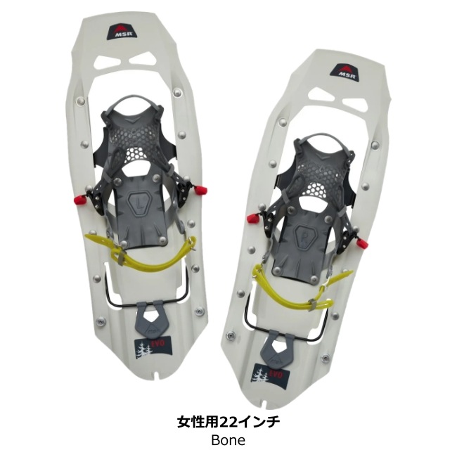 エムエスアール MSR EVOエクスプローラー 女性用 22インチ | GLAGH グラフ