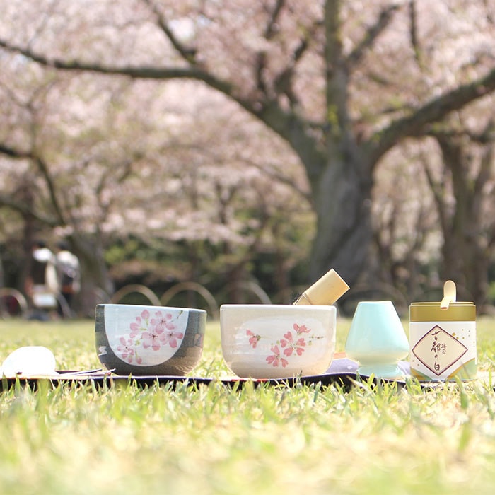 ほんぢ園限定 オリジナル 茶道 抹茶付 カジュアルお茶碗セット