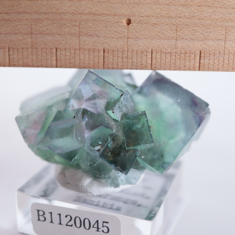 オコルス鉱山産 フローライト | 鉱物標本,ハ行,フローライト/蛍石