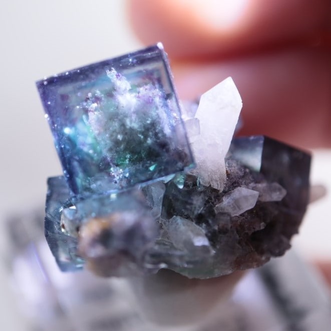 オコルス鉱山産 フローライト | 鉱物標本,ハ行,フローライト/蛍石