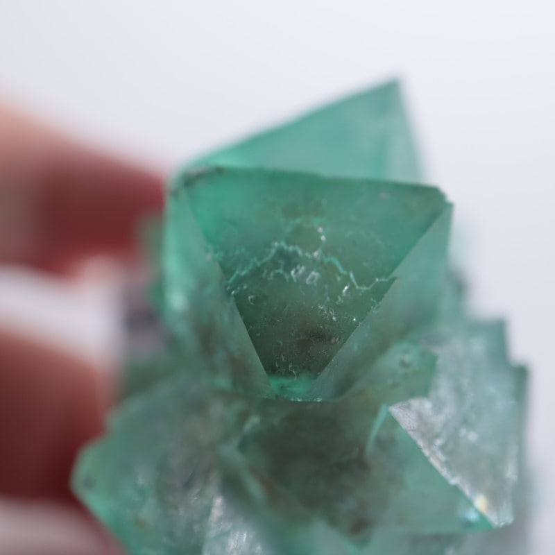 南アフリカ産 フローライト | 鉱物標本,ハ行,フローライト/蛍石