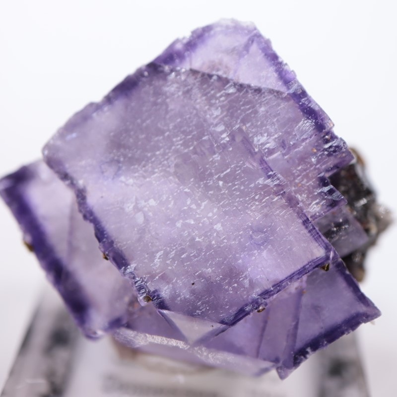 エルムウッド鉱山 フローライト | 鉱物標本,ハ行,フローライト/蛍石