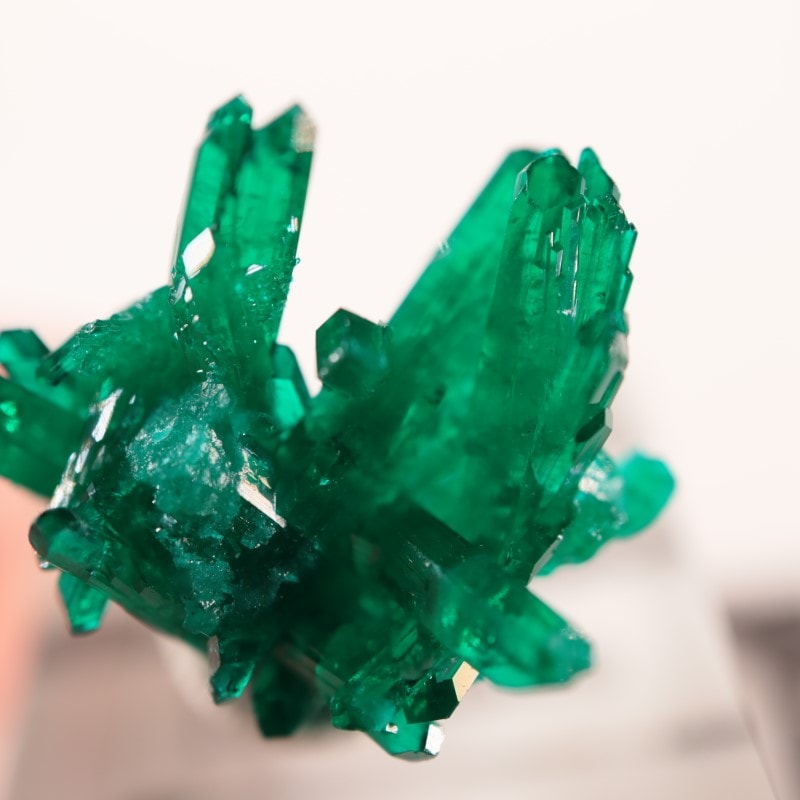 コンゴ産 ダイオプテーズ | 鉱物標本,タ行,ダイオプテーズ/翠銅鉱