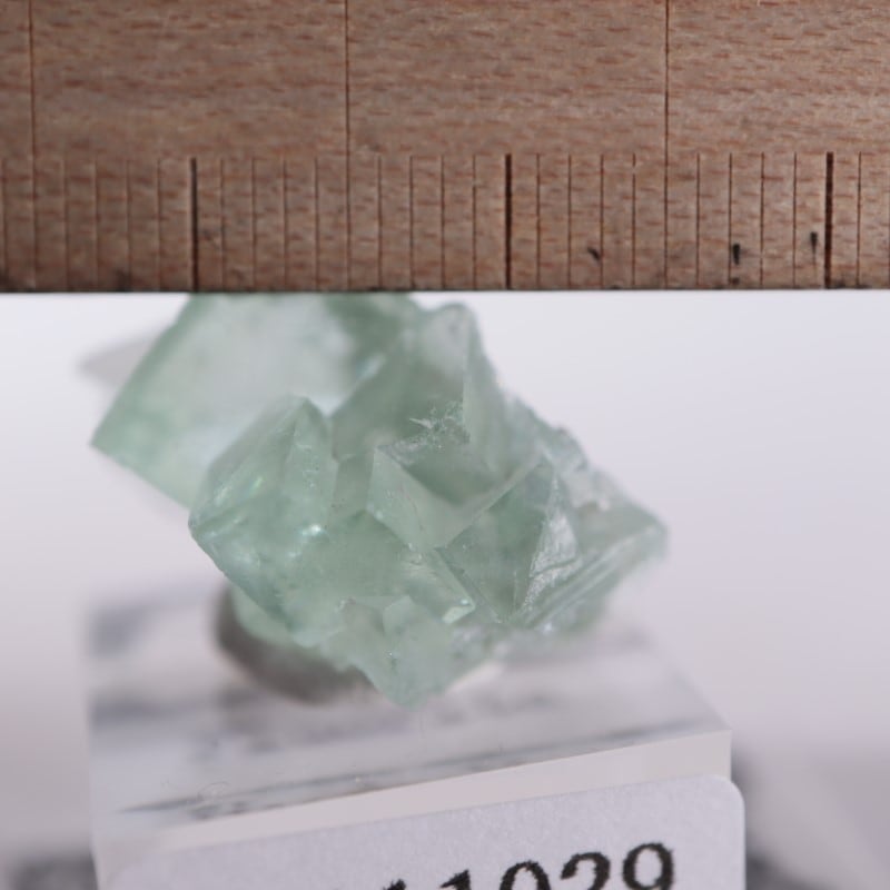 シャンファーリン産 蛍石 | 鉱物標本,ハ行,フローライト/蛍石,フロー