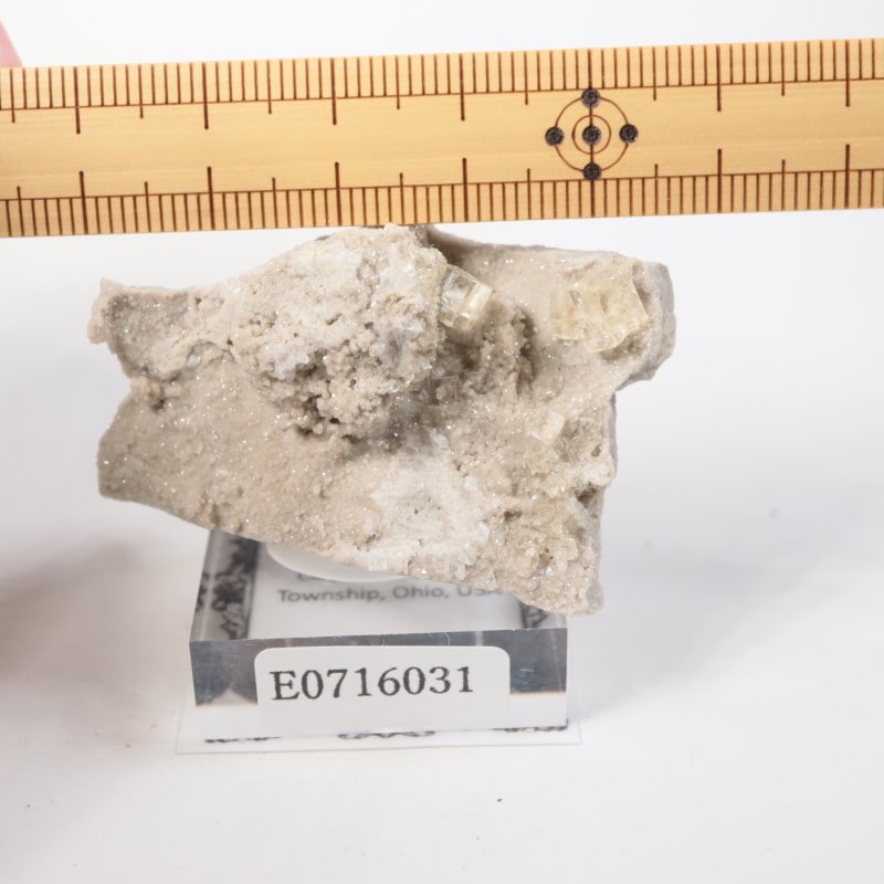 クレイセンター産 フローライト | 鉱物標本,ハ行,フローライト/蛍石