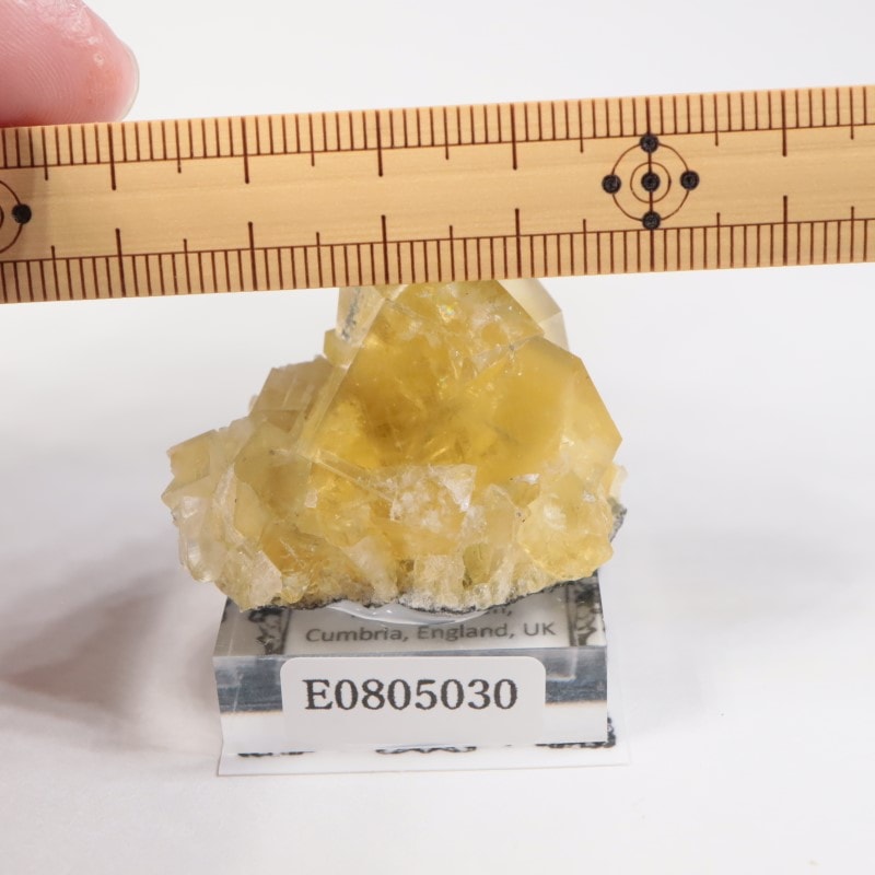 イギリス産 フローライト | 鉱物標本,ハ行,フローライト/蛍石,フロー