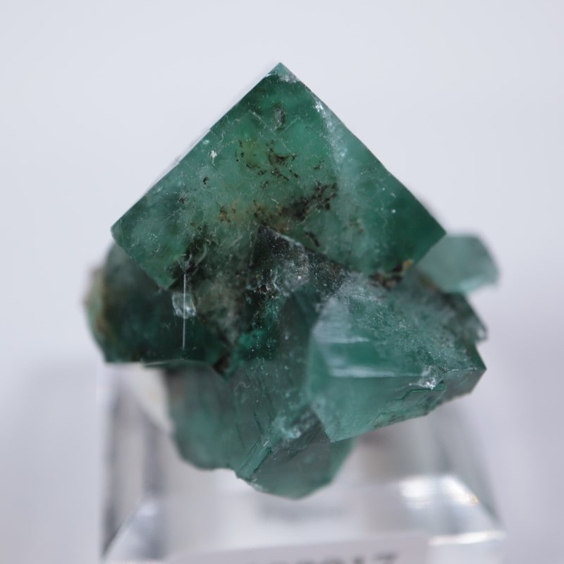 ロジャリー鉱山 フローライト | 鉱物標本,ハ行,フローライト/蛍石