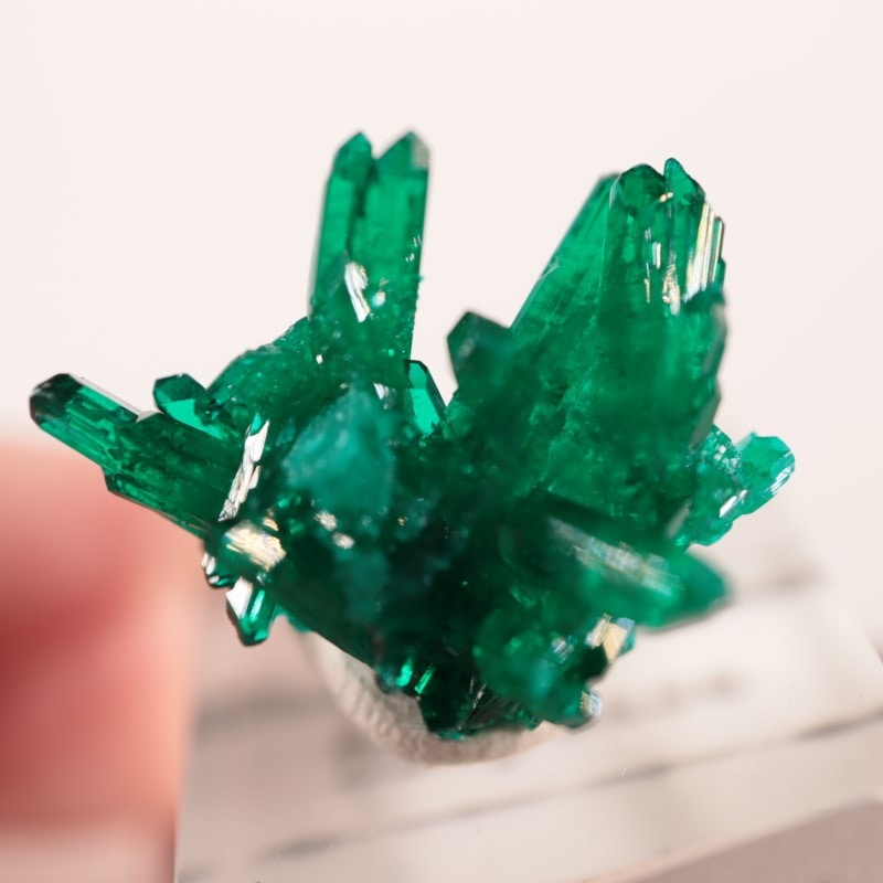 コンゴ産 ダイオプテーズ | 鉱物標本,タ行,ダイオプテーズ/翠銅鉱