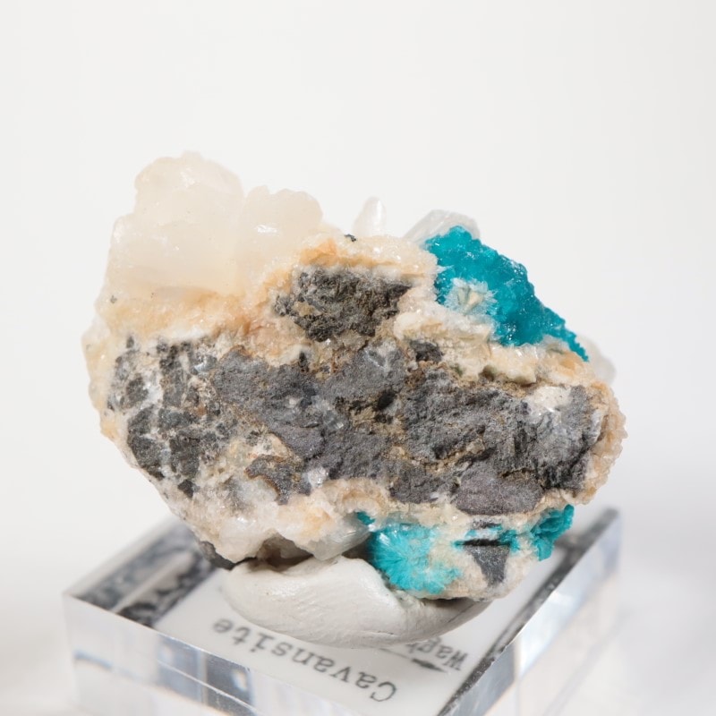 9_000000007566.jpg?1716981720