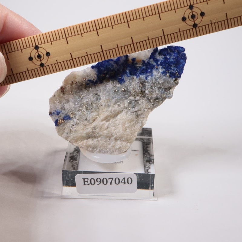 パキスタン産 ラピスラズリ | 鉱物標本,ラ行,ラピスラズリ | ほたるみ