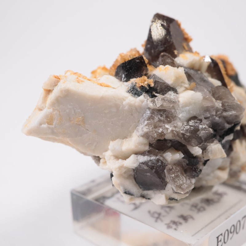 8_000000008070.jpg?1725704250