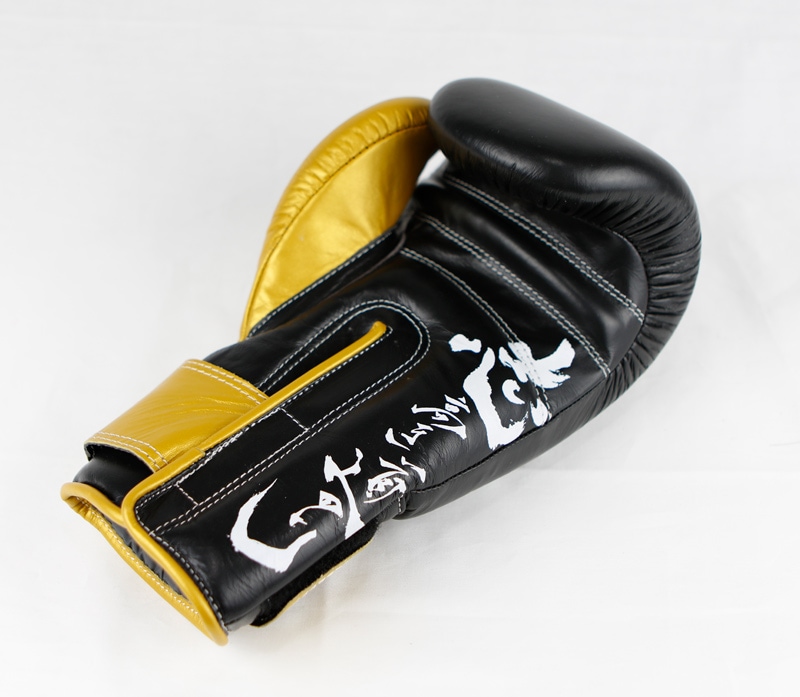 天心グローブ | すべての商品 | ISAMI(イサミ) |格闘技 武道具用品