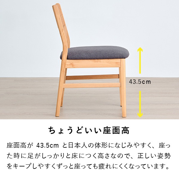 ISSEIKI 【SET】PUINE DINING CHAIR 2脚SET (AL-NA-74CGY) | 【公式