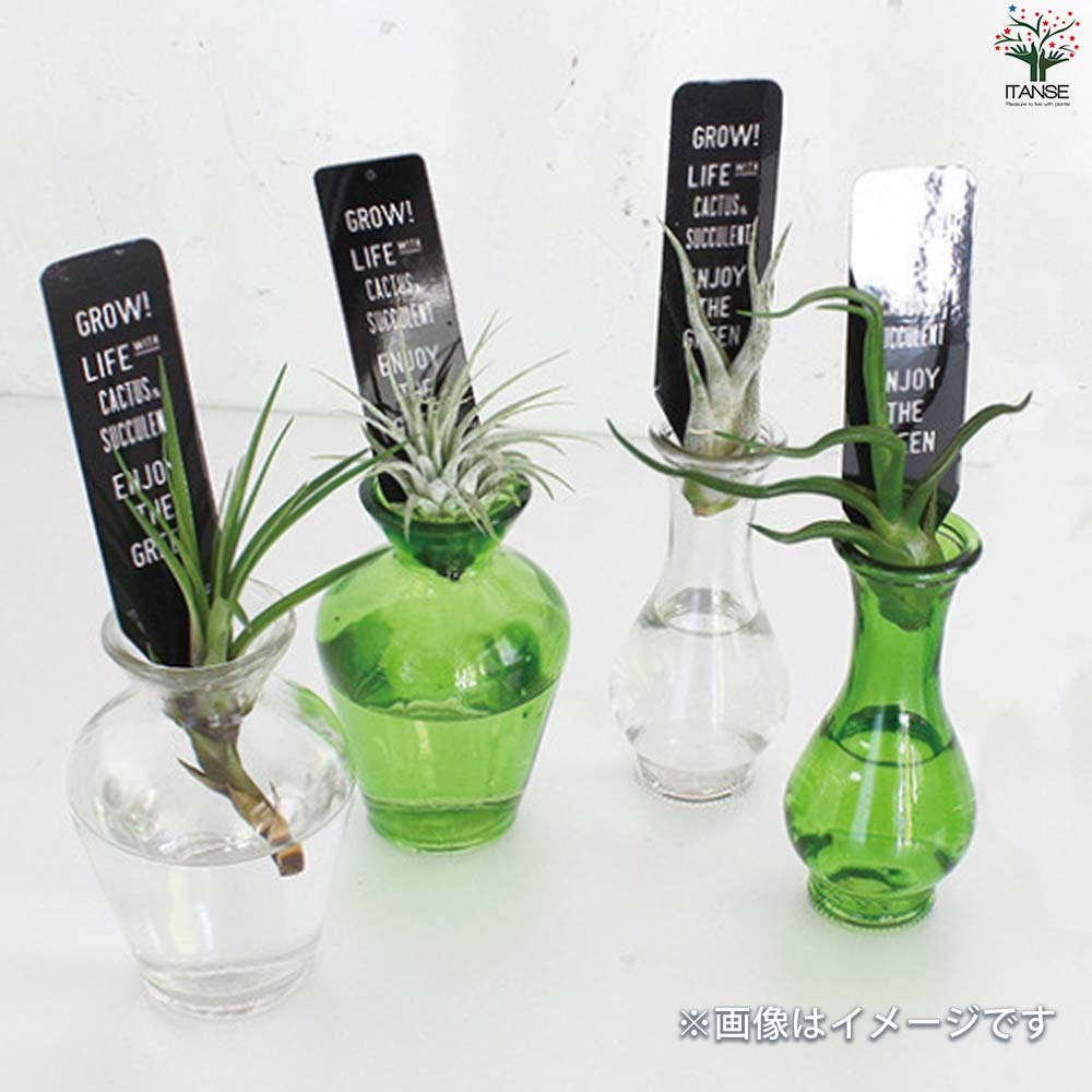 小さなガラス花瓶 タイニーフラワーベース Sサイズ(No.2) 色：グリーン