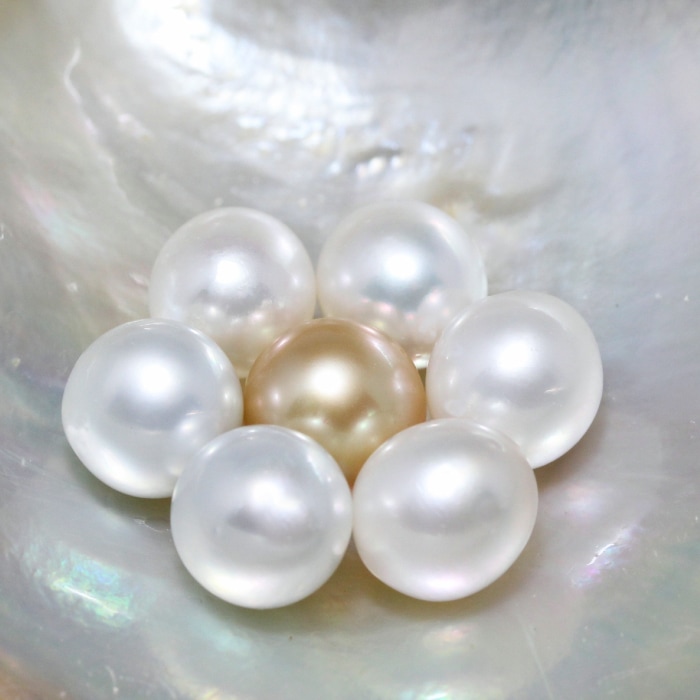 7_000000000230.jpg?1678209908