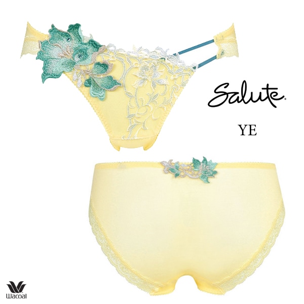 ワコール サルート 12G ショーツ PTJ712 M・L ハイレッグ ノーマル