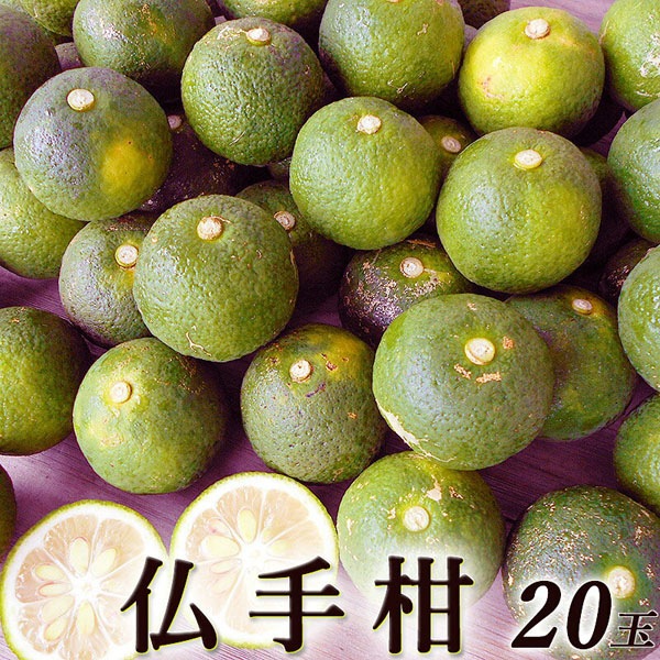 仏手柑 ぶしゅかん 20玉 高知産 土佐の酢みかん ご家庭用 大小