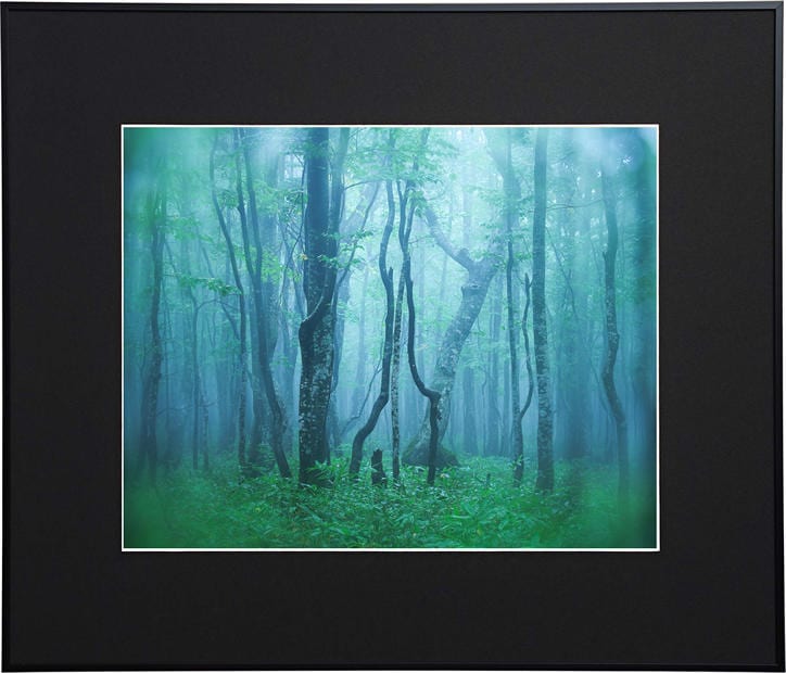 即配】 半切 ブラック AGY-H-BK Kenko ギャラリー ケンコー KENKO