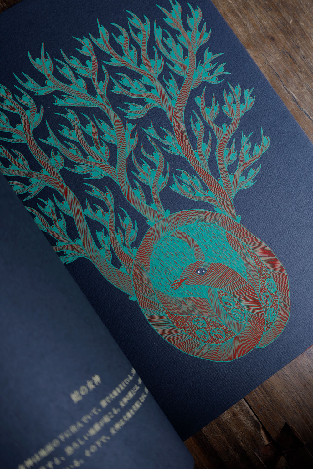 完売】夜の木 第13刷｜恵文社一乗寺店 オンラインショップ