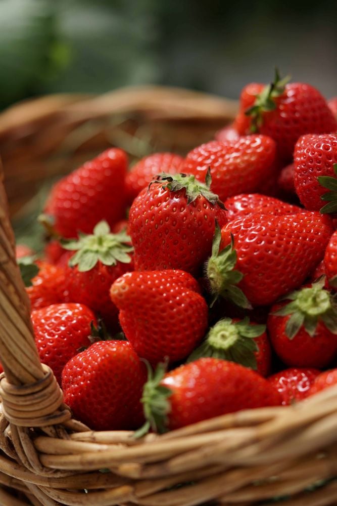 つやいちご ｜キングファーム公式通販