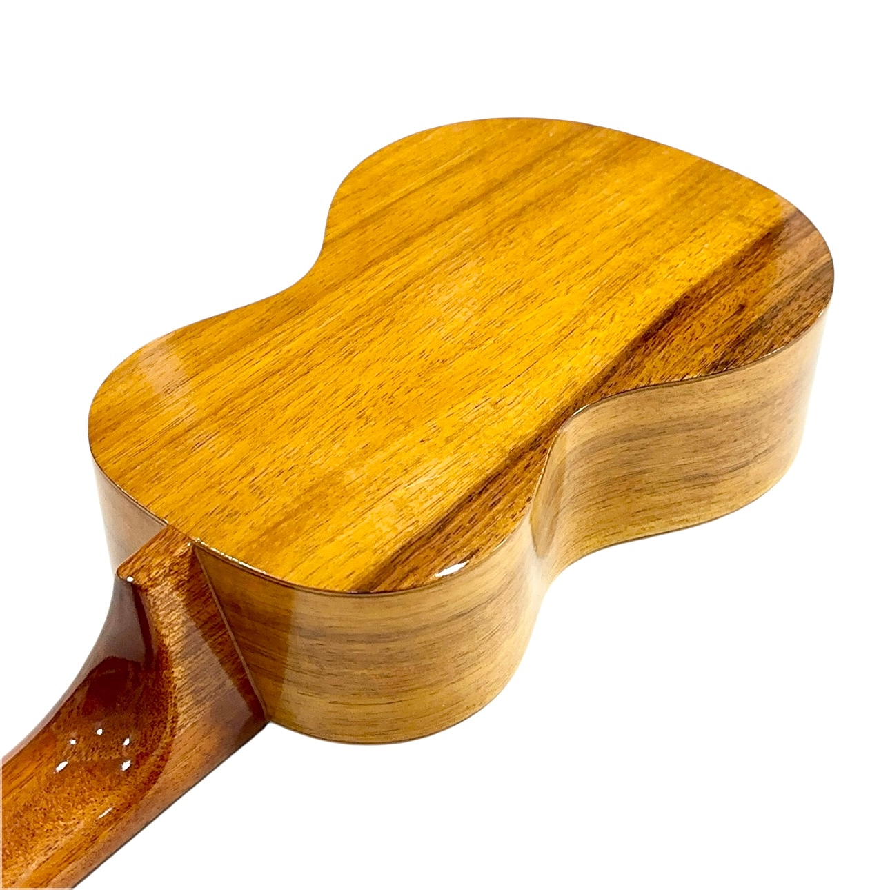 Famous】FS-5G ソプラノサイズ｜ウクレレ専門店 KIWAYA公式通販