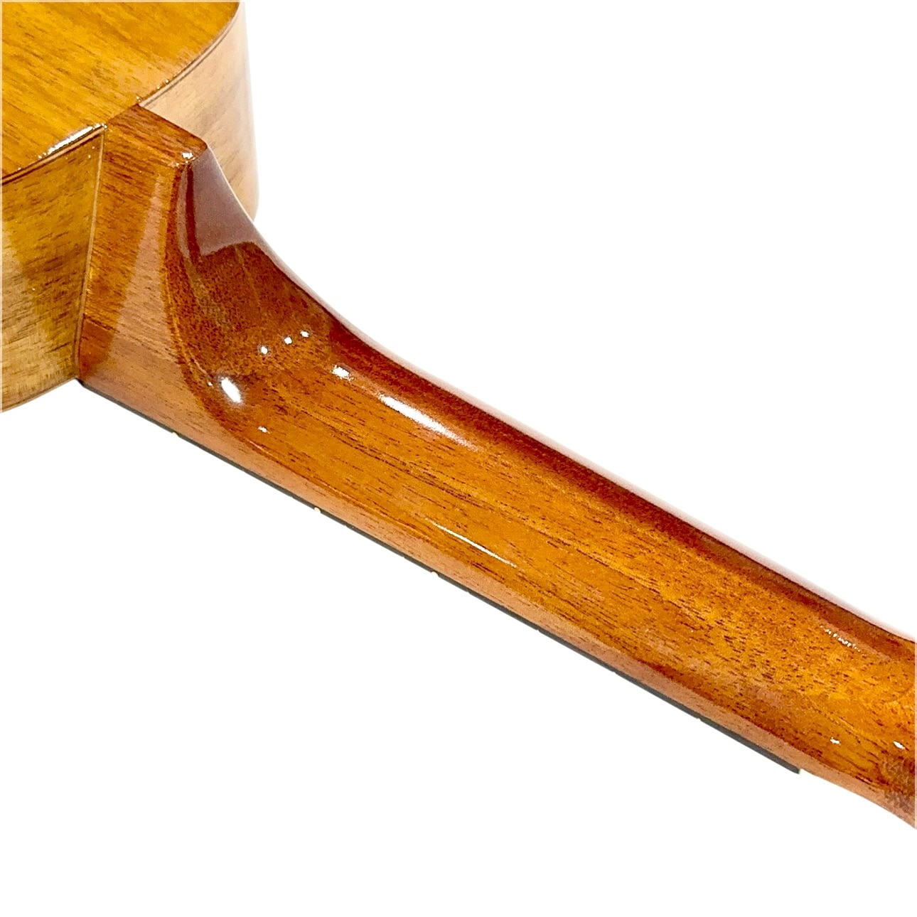 Famous】FS-5G ソプラノサイズ｜ウクレレ専門店 KIWAYA公式通販