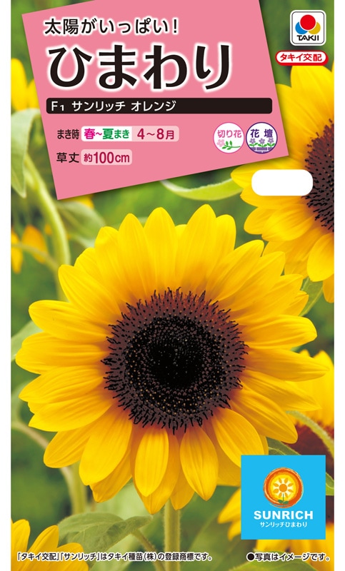 タキイ NL300 ひまわり F1 サンリッチオレンジ 小袋[FHM512]【取り寄せ