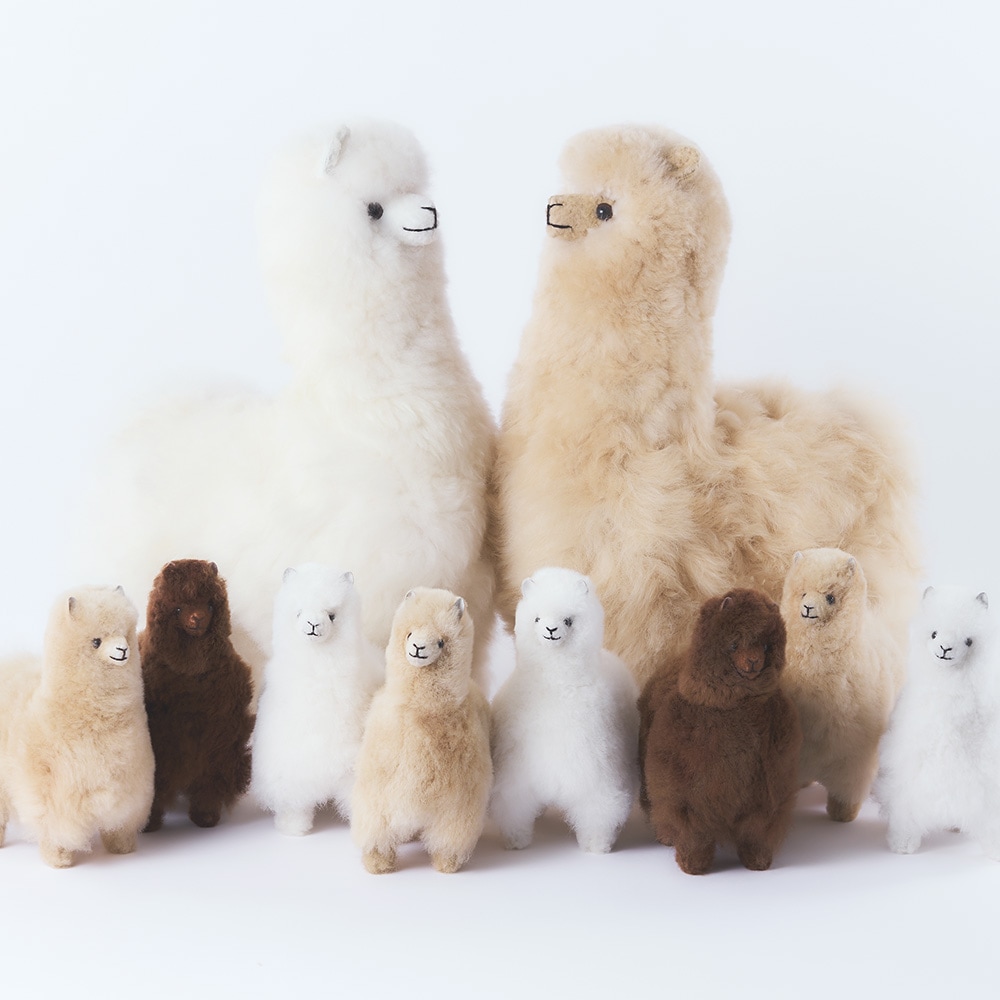 elvang｜アルパカ テディ 50*50 | KONCENT Web shop｜アッシュ