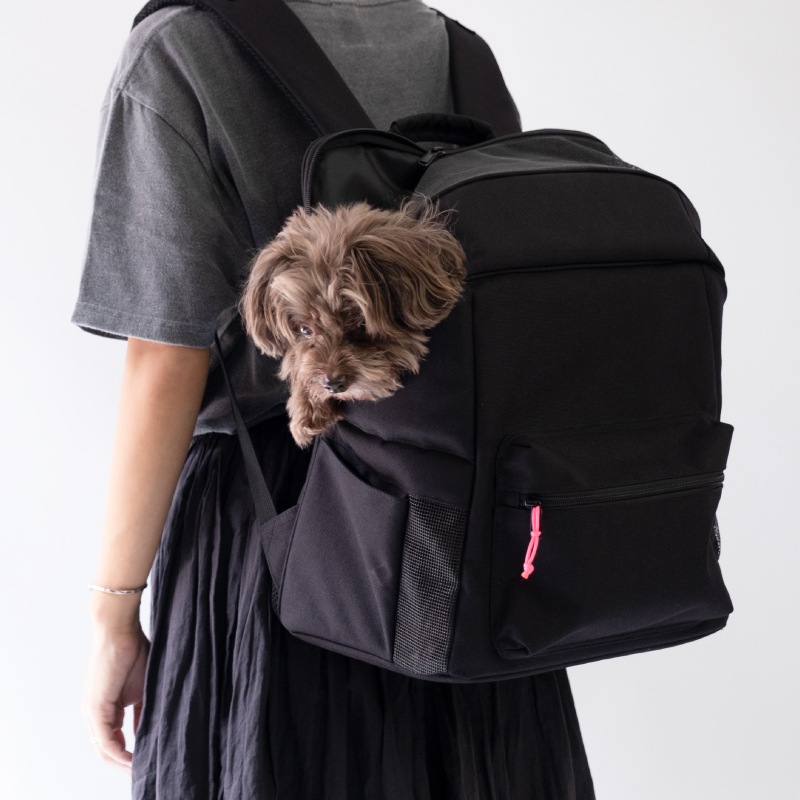 ワンチャン猫ちゃん用キャリーバック ＜リュックタイプ＞ | ペット