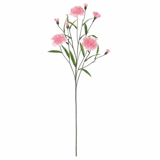 ジュディカーネーション ピンク（東京堂／FM002565-002, FM2565