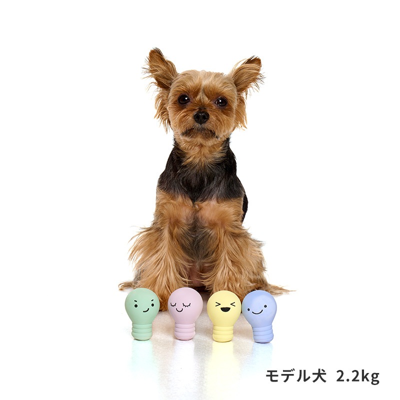 ラテックス電球トイ | Toys（おもちゃ） | LIFE LIKE 【犬服グッズ専門店】