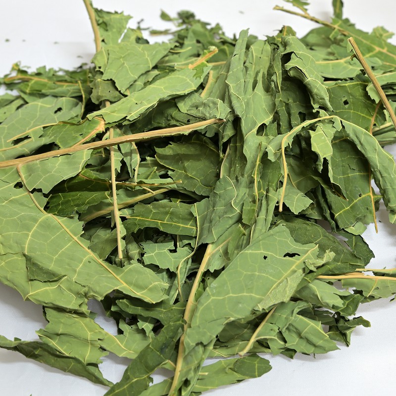 乾燥 パパイヤの葉 5キロ PRO スぺシャリーフ 青パパイヤの葉 15g