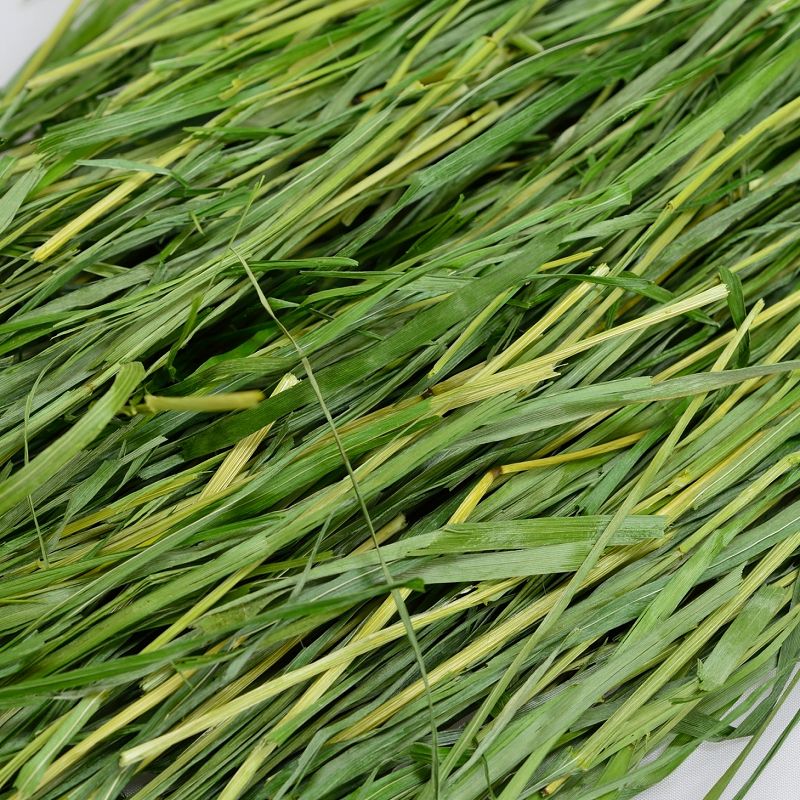 2025高原の朝採り牧草「イタリアンライグラス」ヤング 450g ※2026年2月