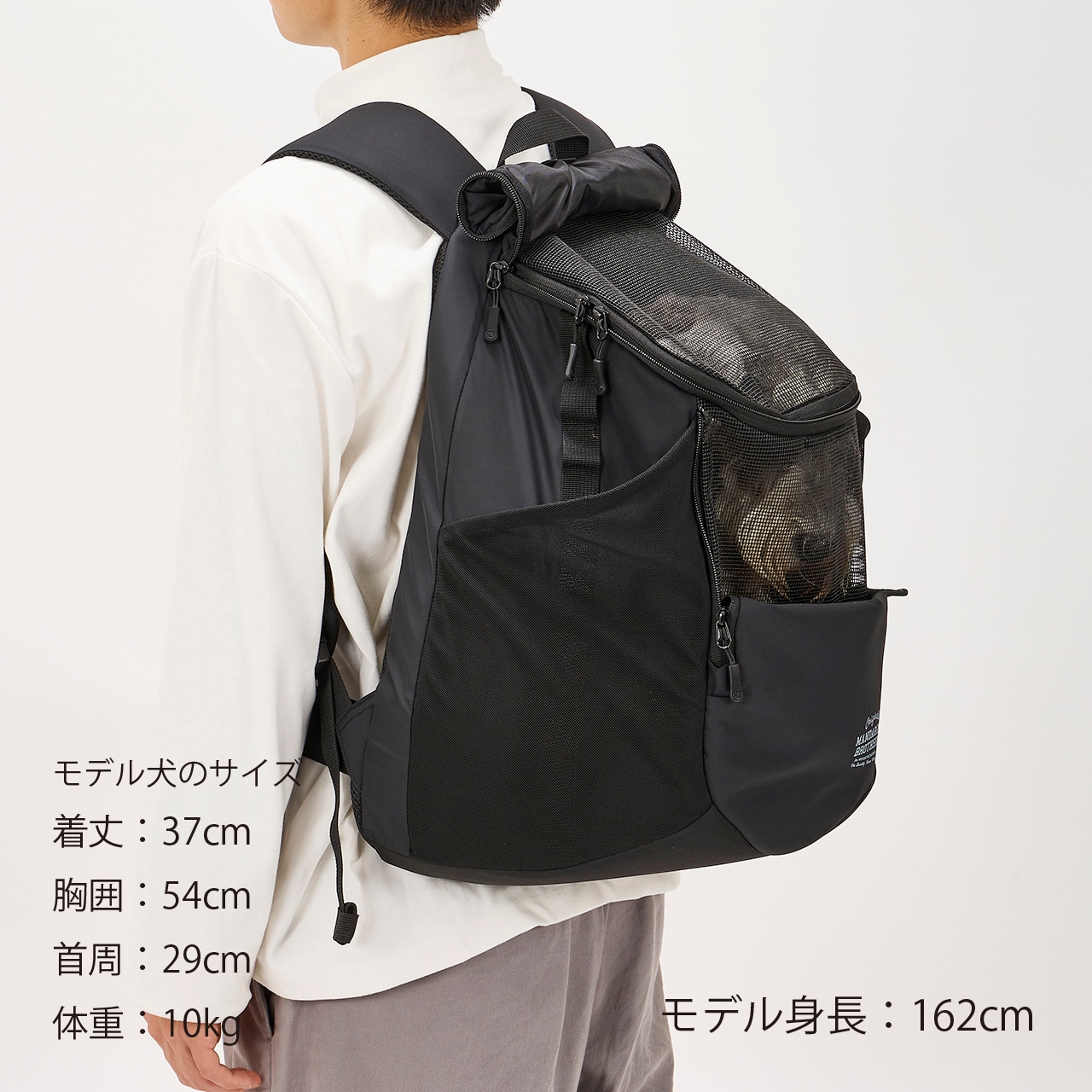 WINSTON HUG BAG LARGE | CARRY BAG | 犬服 MANDARINE BROTHERS