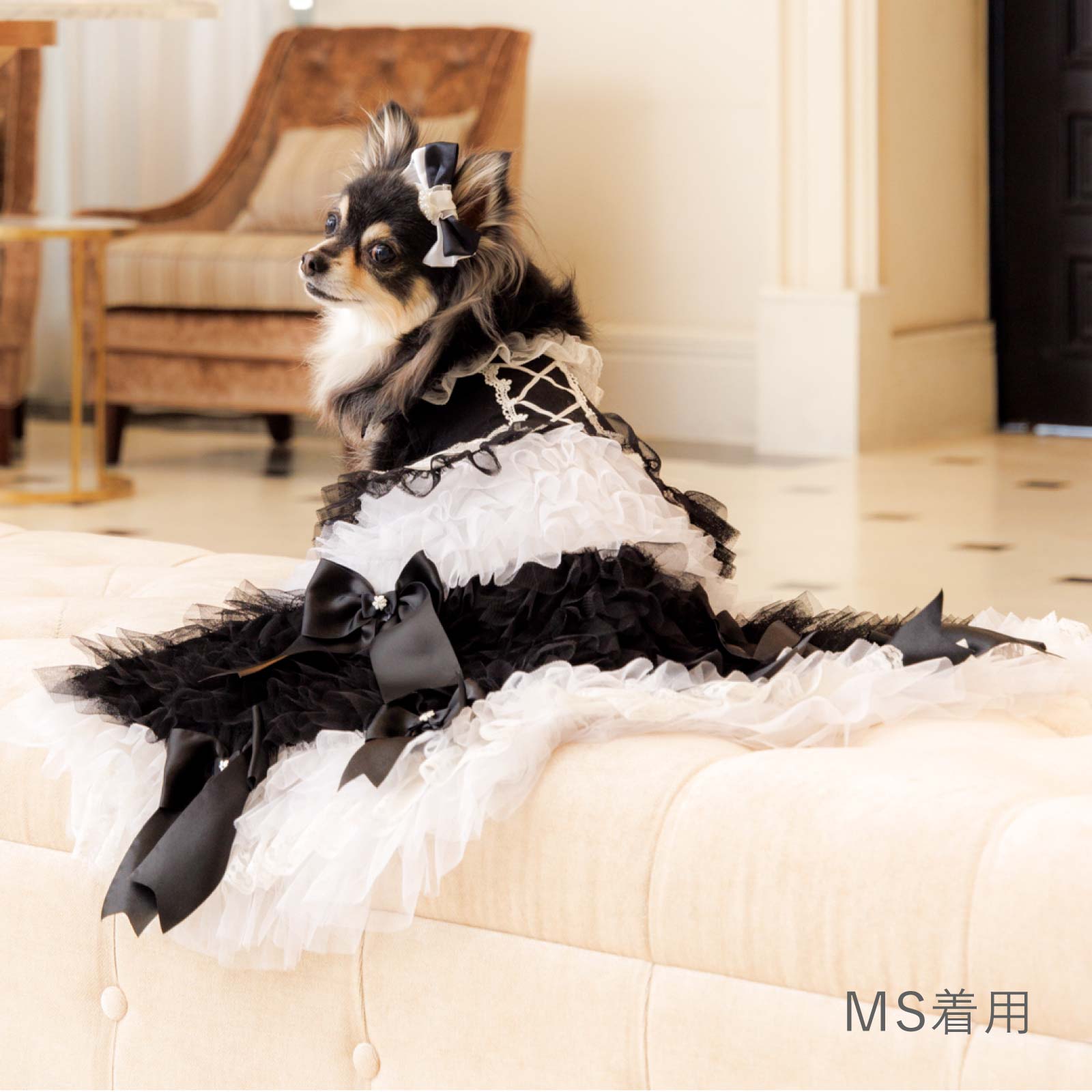ミラクルティッシュ ドッグドレス [3way dress] XS-L サイズ展開