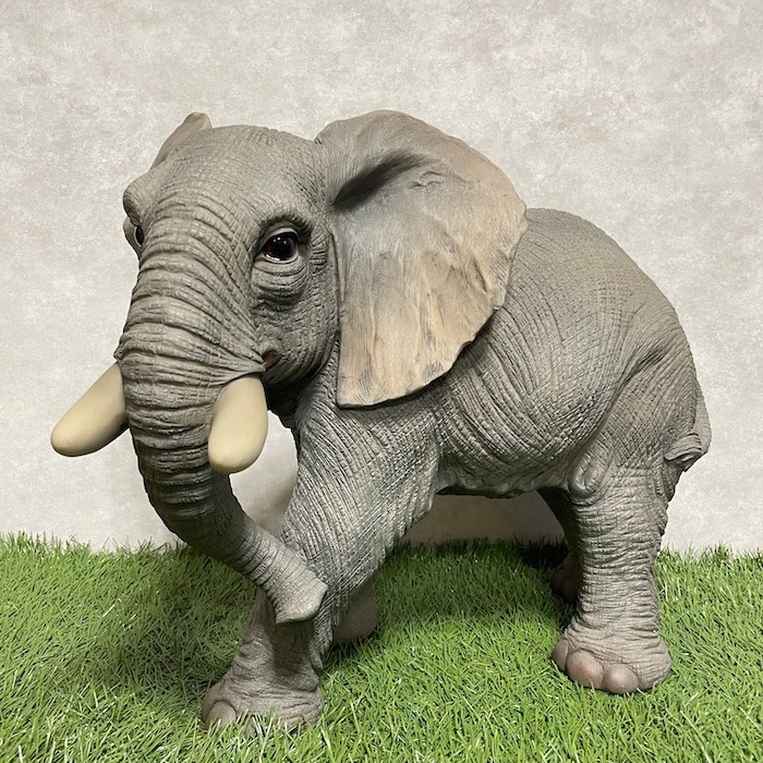 18_000000001944.jpg?1743493817