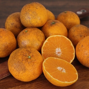 佐藤農場が管理する有機みかんを出荷する際に、外された規格外みかんです。