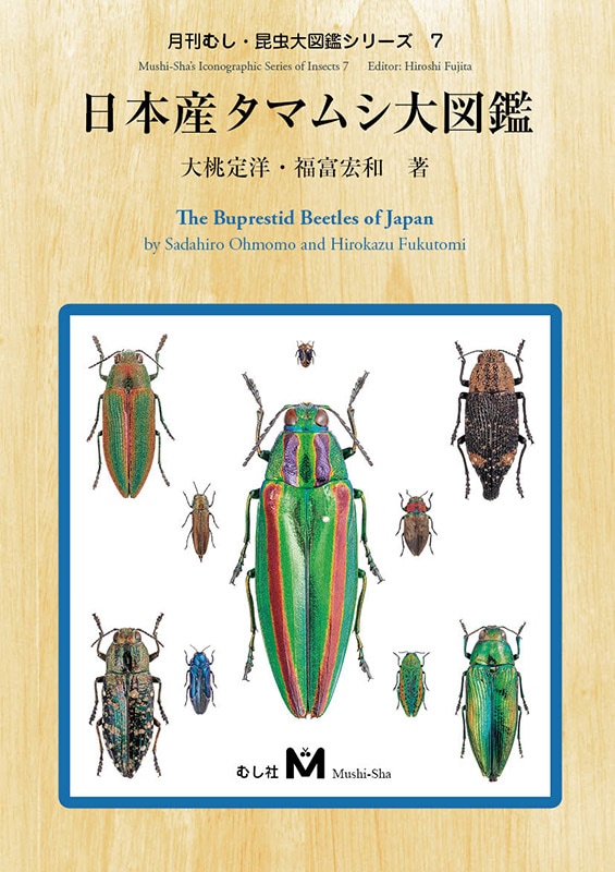 月刊むし・昆虫大図鑑シリーズ7 日本産タマムシ大図鑑 | むし社の書籍