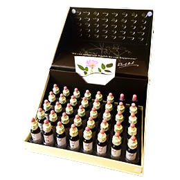 バッチフラワーレメディフラワーBOX(40本セット) | ブランド一覧