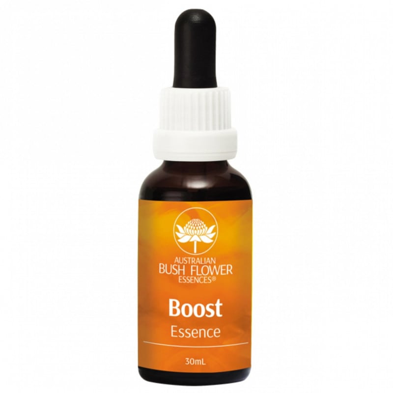 メディテーション[Meditation]『瞑想』 | ブランド一覧,オーストラリア