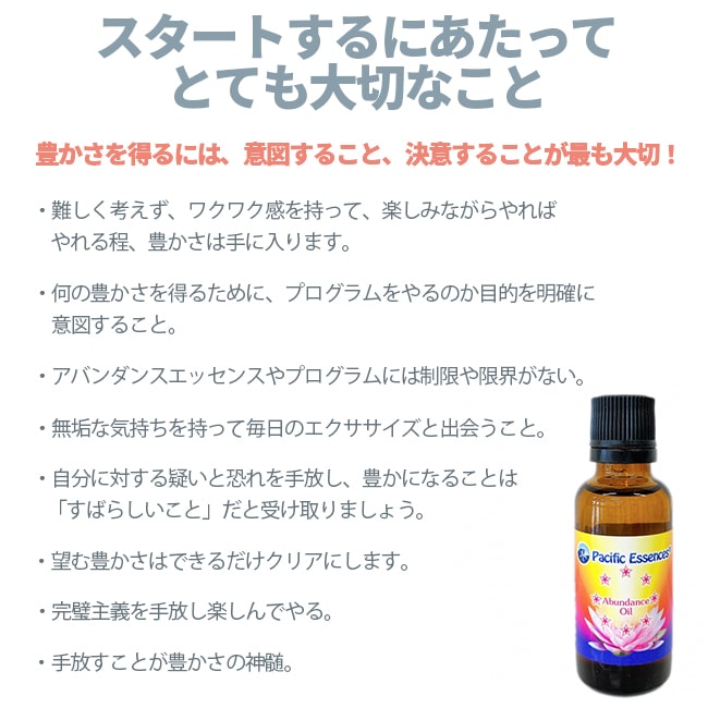 アバンダンスプログラムセット(日本語訳付) | ブランド一覧