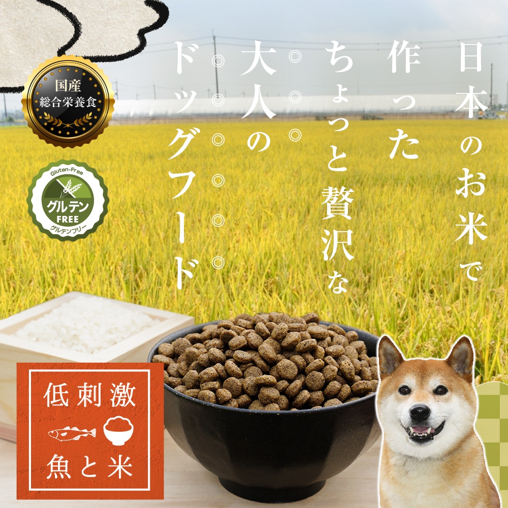 ネイティブドッグ 国産 低刺激 ドッグフード 3kg 送料無料／北海道